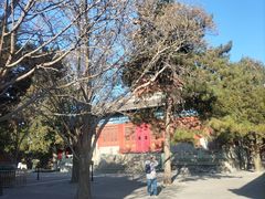 -大钟寺古钟博物馆