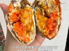 -阳澄湖半岛旅游度假区