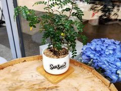 -Seesaw Coffee(上生新所店)
