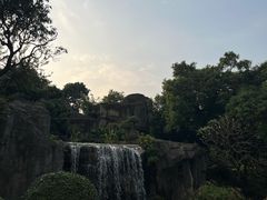 -荔枝公园(福田区)