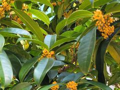 -上海科技馆(地铁站)