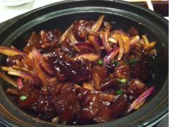 京葱牛筋煲-长兴楼饭店