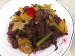 -客嘉城(西丽店)