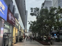 -润园四季椰子鸡火锅(南山海岸城店)