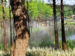 景点-南京银杏湖乐园