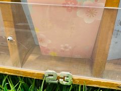 -猫的天空之城概念书店(苏州平江店)