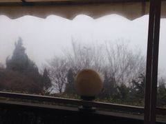 -向日葵咖啡