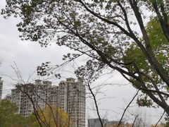 -昆山城市生态森林公园