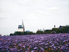 -花博汇(知音花月夜)