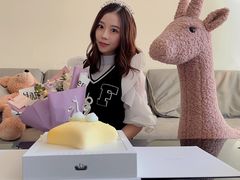 -BLACKSWAN黑天鹅(环球店)