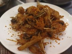 -正能量脆肉鲩火锅