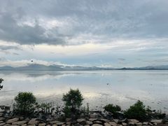 -深圳湾公园(南山区)