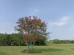 -良渚古城遗址公园