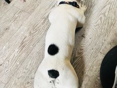 -小时光咖啡馆(北锣鼓巷店)