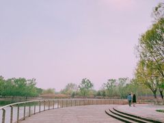 -永定河休闲森林公园