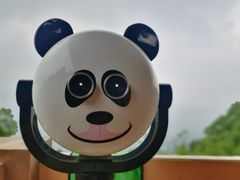 -缙云山景区