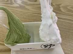 -野人先生Gelato(上海长宁龙之梦店)