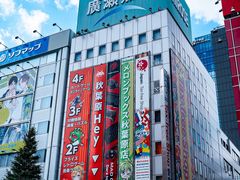 -秋叶原电器街
