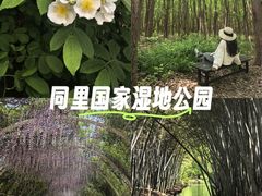 -同里国家湿地公园