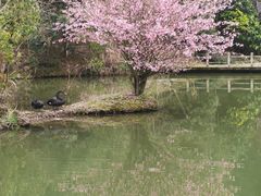 -千岛湖东南湖区