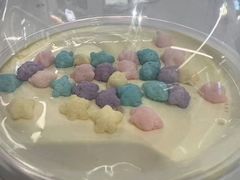 -DQ·蛋糕·冰淇淋(五棵松万达店)