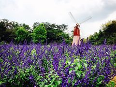 景点-德庆盘龙峡生态旅游区