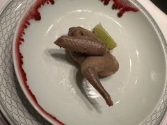 -子福慧(虹桥店)