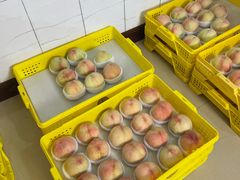 -老袁家蜜桃农场·阳山水蜜桃