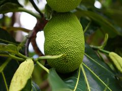 -塞班肯辛顿酒店Kensington Hotel Saipan