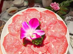 -禄婶鸡煲·打边炉