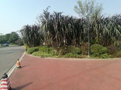 -府河摄影公园