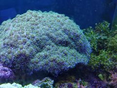 -海南热带海洋学院(三亚校区)