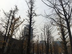 -百林公园-两江幸福广场