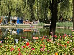 -圣露庄园·亲子活动乐园·露营·团建婚礼
