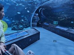 -海合安成都极地海洋公园