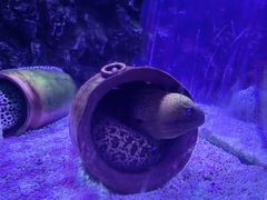 -上海海昌海洋公园