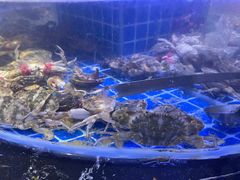 -五月罗马海鲜烤肉自助餐厅(印象城店)