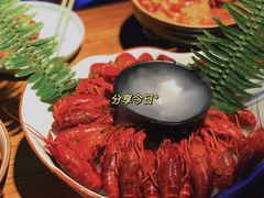 -猫头婴小酒馆FUN OWL(1912店)