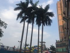 -黄金海岸水上乐园