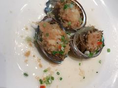小鲍鱼-骏莱海鲜鱼港(五角场店)