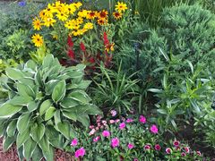 -长春公园(普阳街道)