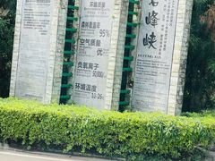 -中国大熊猫保护研究中心雅安碧峰峡基地