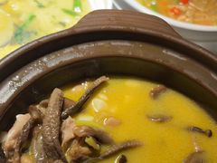 鹿茸菌猪肚锅-東大方(海宁海昌路店)
