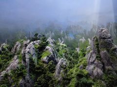 -青藏高原自然博物馆