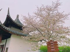 -苏州上方山国家森林公园