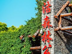 -塘沽森林公园