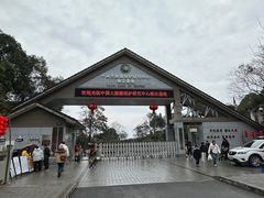 -中国大熊猫保护研究中心雅安碧峰峡基地