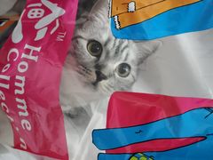 -KKV(重庆东原悦荟主力店)
