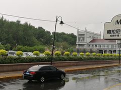 -人民防洪胜利纪念塔