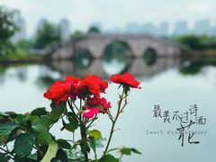 -杏花村文化旅游区